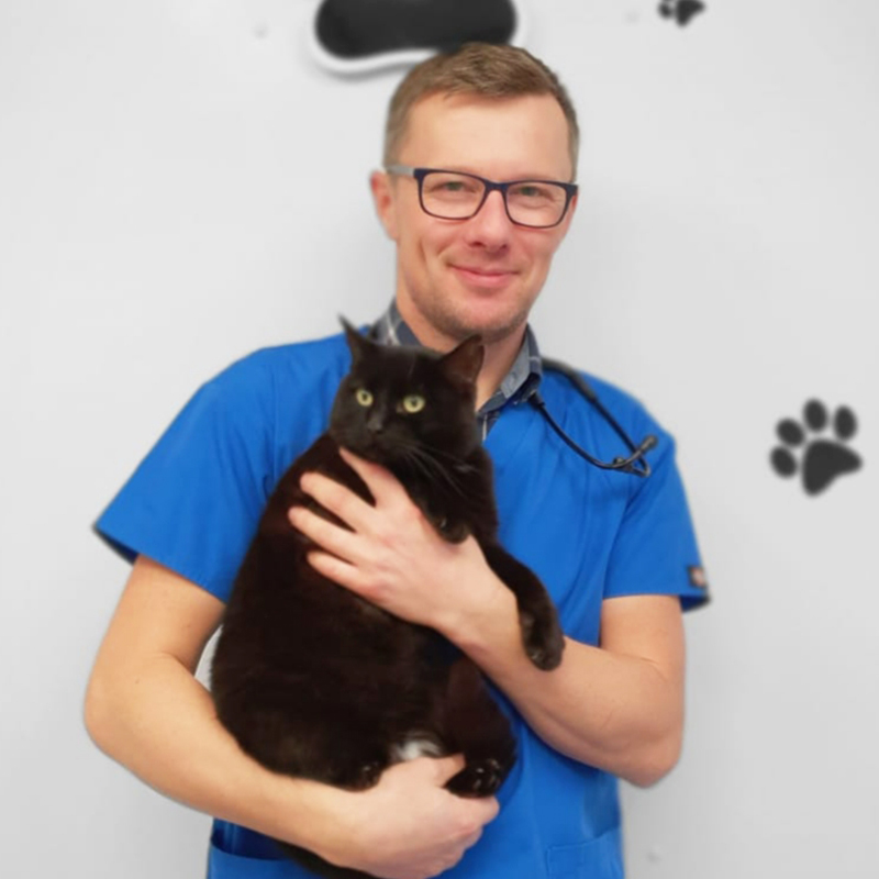 The healthy pet veterinary hot sale clinic