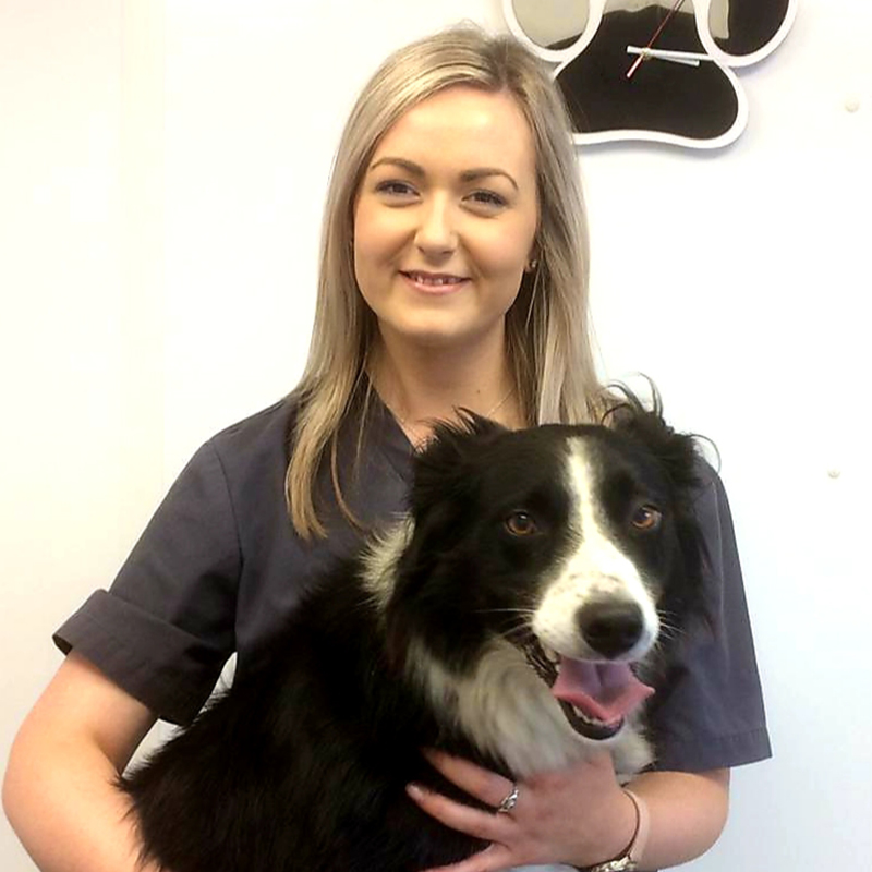 Tracy Kilkenny - Veterinary Assistant
